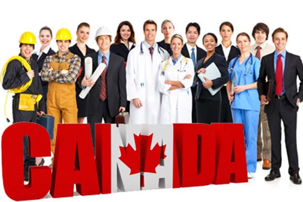 کار و کسب و کار در کانادا