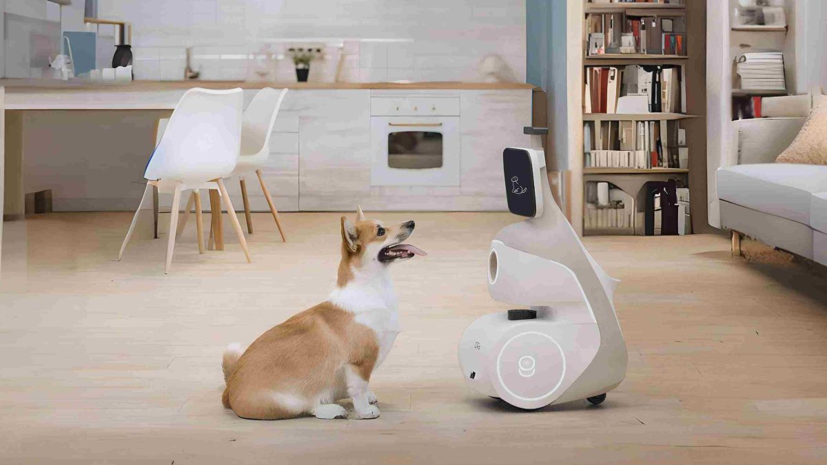 ربات جدیدی برای کمک به حیوانات خانگی: اورو، دوست دیجیتالی سگ‌ها