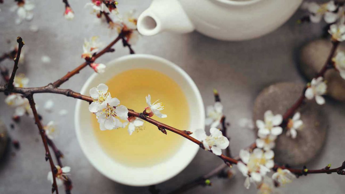 چای سفید چیست و چه مزایایی دارد؟